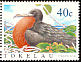 Lesser Frigatebird Fregata ariel  2004 Lesser Frigatebird 