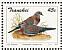 Laughing Dove Spilopelia senegalensis  1993 Doves Sheet