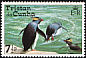 Northern Rockhopper Penguin Eudyptes moseleyi  1974 Rockhopper Penguin 