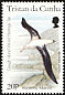 Snowy Albatross Diomedea exulans  1996 Gough Island as world heritage site 