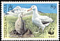 Snowy Albatross Diomedea exulans  1999 WWF 