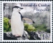 Chinstrap Penguin Pygoscelis antarcticus  2023 Penguins 
