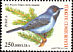 RÃ¼ppell's Warbler Curruca ruppeli  2004 Bird definitives 