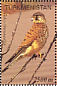 Common Kestrel Falco tinnunculus  2000 Birds of prey Sheet