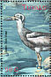 Beach Stone-curlew Esacus magnirostris  2000 Birds of the South Pacific Sheet