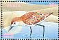 Sanderling Calidris alba  2000 Birds of Tuvalu Sheet