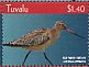 Bar-tailed Godwit Limosa lapponica  2015 Birds of the South Pacific Sheet