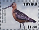 Bar-tailed Godwit Limosa lapponica  2021 Birds of Tuvalu Sheet