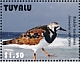 Ruddy Turnstone Arenaria interpres  2021 Birds of Tuvalu Sheet