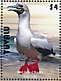 Red-footed Booby Sula sula  2021 Birds of Tuvalu Sheet