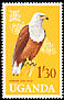 African Fish Eagle Icthyophaga vocifer  1965 Birds 