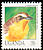 Cape Robin-Chat Dessonornis caffer  1992 Birds 