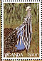Vulturine Guineafowl Acryllium vulturinum  1997 Environmental protection 4v sheet