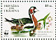 Red-breasted Goose Branta ruficollis  1998 WWF Sheet, p 11Â½