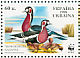 Red-breasted Goose Branta ruficollis  1998 WWF Sheet, p 11Â½