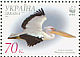 Great White Pelican Pelecanus onocrotalus  2007 WWF Sheet with 4 sets