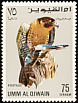 Peregrine Falcon Falco peregrinus  1968 Falcons and hawks 
