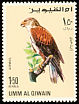 Ferruginous Hawk Buteo regalis  1968 Falcons and hawks 