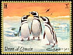 Magellanic Penguin Spheniscus magellanicus  1972 Penguins 