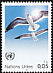 Yellow-legged Gull Larus michahellis  1986 Definitives 