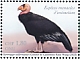 California Condor Gymnogyps californianus  2023 Endangered species 4v set
