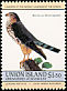 Merlin Falco columbarius  1985 Audubon 