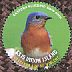 Eastern Bluebird Sialia sialis  2016 Icons of New York state 6v sheet