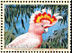Pink Cockatoo Cacatua leadbeateri  1997 Endangered species 4v set