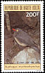 Red-billed Oxpecker Buphagus erythrorynchus  1984 Birds 