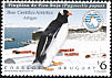 Gentoo Penguin Pygoscelis papua  1997 Antarctic base Artigas 