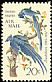 Black-throated Magpie-Jay Calocitta colliei  1967 Audubon 