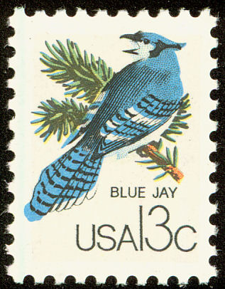 Blue Jay Bird Rubber Stamp Save 25%