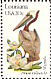 Brown Pelican Pelecanus occidentalis  1982 State birds and flowers 50v sheet, p 10Â½x11