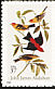 Western Tanager Piranga ludoviciana  2002 Audubon sa