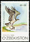 Osprey Pandion haliaetus  1999 Birds of prey 