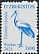White Stork Ciconia ciconia  2021 Birds definitives 