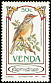 Kurrichane Thrush Turdus libonyana  1985 Songbirds 