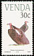 Lappet-faced Vulture Torgos tracheliotos  1989 Endangered birds 