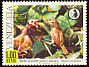 Chivi Vireo Vireo chivi  1968 Conservation of natural resources 