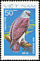 Lesser Fish Eagle Icthyophaga humilis  1982 Birds of prey 