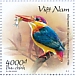 Black-backed Dwarf Kingfisher Ceyx erithaca  2020 Kingfishers 10x4000d booklet