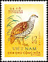 Chinese Francolin Francolinus pintadeanus  1963 Birds 