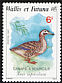 Pacific Black Duck Anas superciliosa  1987 Birds 