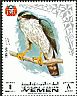 Eurasian Goshawk Accipiter gentilis  1969 Birds 