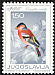 Eurasian Chaffinch Fringilla coelebs  1968 Song birds 