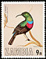 Shelley's Sunbird Cinnyris shelleyi  1977 Birds of Zambia 
