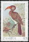 Bradfield's Hornbill Lophoceros bradfieldi  1987 Birds 