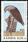 Dickinson's Kestrel Falco dickinsoni  1990 Birds 