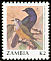 Purple-throated Cuckooshrike Campephaga quiscalina  1991 Birds 