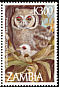 Verreaux's Eagle-Owl Ketupa lactea  1997 Owls 